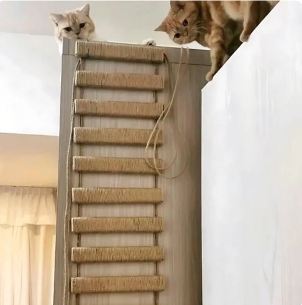 Climbing Bridge And Hanging Ladder For Cat Wall Mounting