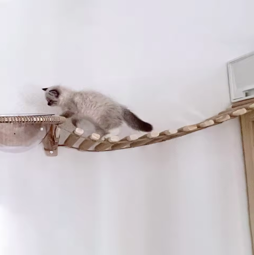 Climbing Bridge And Hanging Ladder For Cat Wall Mounting