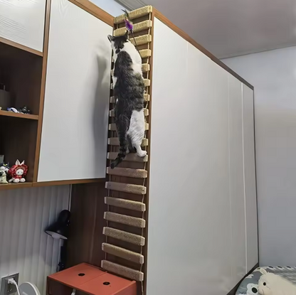 Climbing Bridge And Hanging Ladder For Cat Wall Mounting