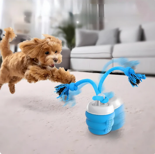 Interactive Chew Toy for Dogs – Fun for Movement and Mental Stimulation