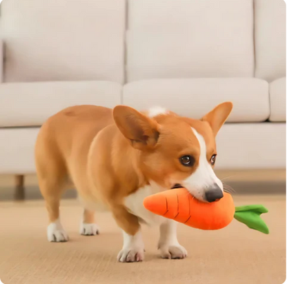 Plush Carrot For Dogs - Interactive Play And Cuddle Toy