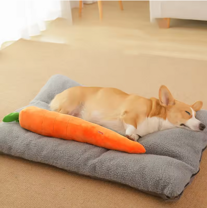 Plush Carrot For Dogs - Interactive Play And Cuddle Toy