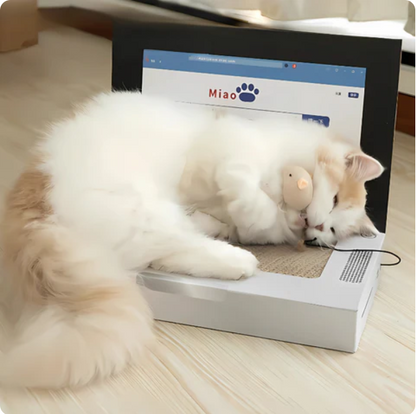 Cat Scratching Board Laptop