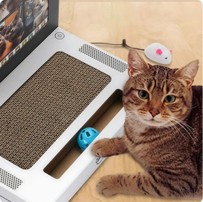 Cat Scratching Board Laptop