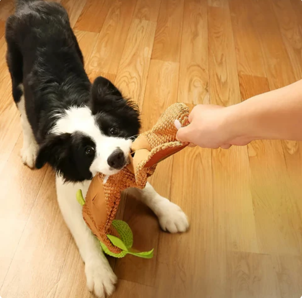 Plush Turtle Snack and Toy for Dogs