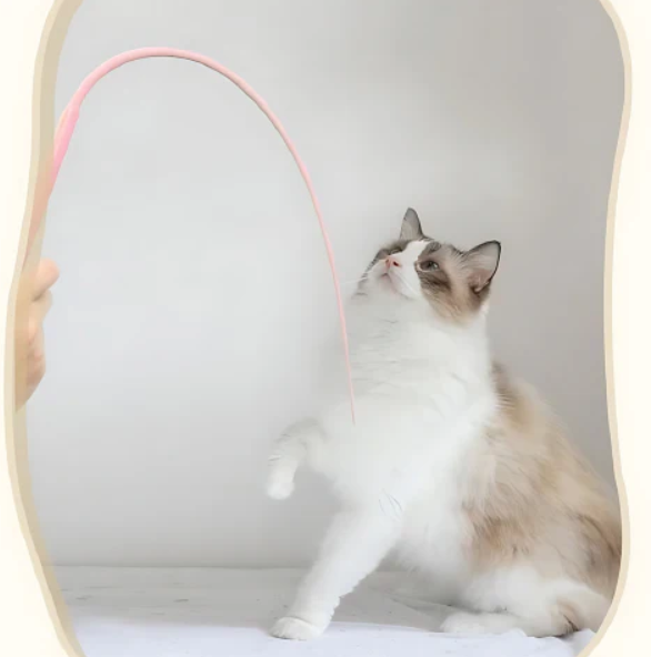 Set of 2 -- Flexible play stick for cats - Interactive playtime fun