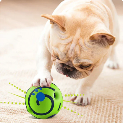 Creative Dog Play Ball with Interactive Functions