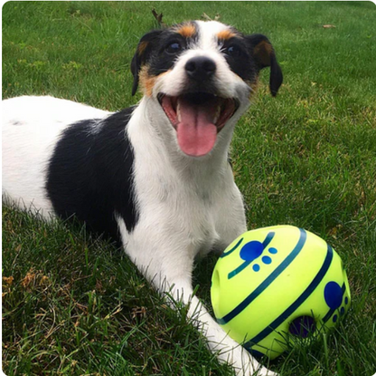 Creative Dog Play Ball with Interactive Functions