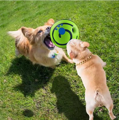 Creative Dog Play Ball with Interactive Functions