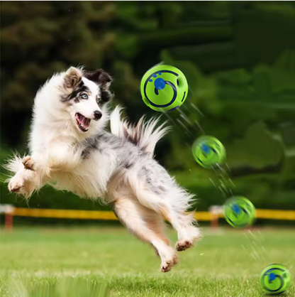 Creative Dog Play Ball with Interactive Functions