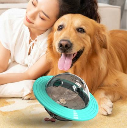 Dog Toy with Treat Dispenser and Interactivity