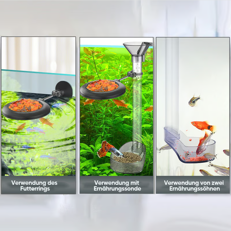Versatile Food Dispenser For Aquariums