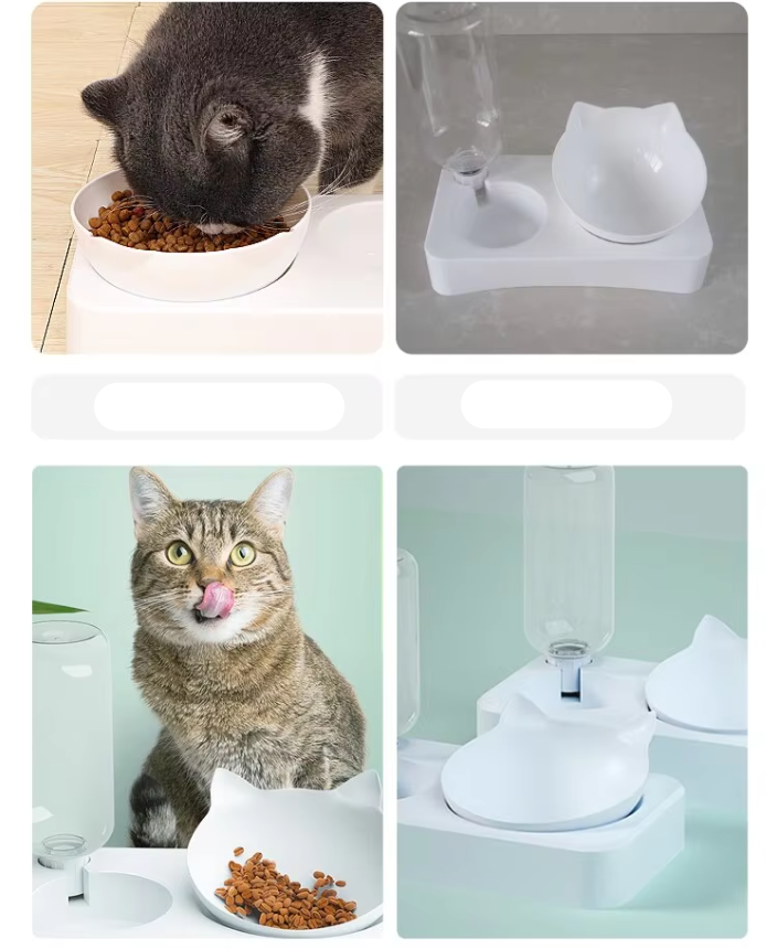 Cat Water And Food Dispenser Set