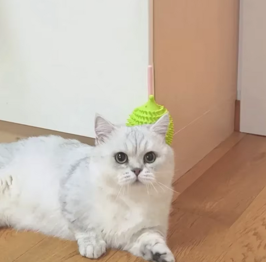 Silicone Cat Toy In Ufo Shape | Toy Filled With Catnip