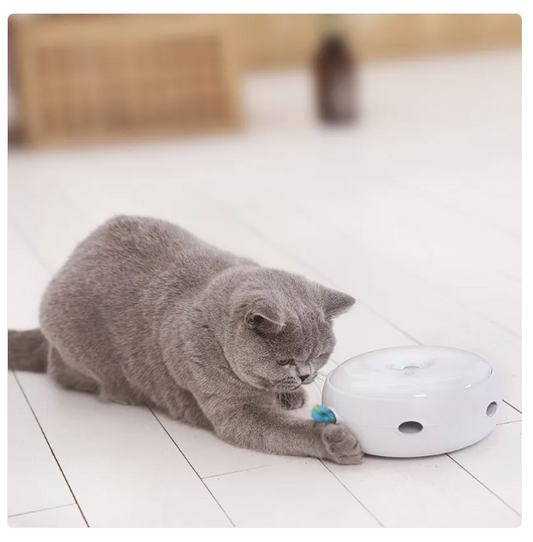 Interactive Cat Toy - Automatic Toy With Rainbow Fluffy Feather