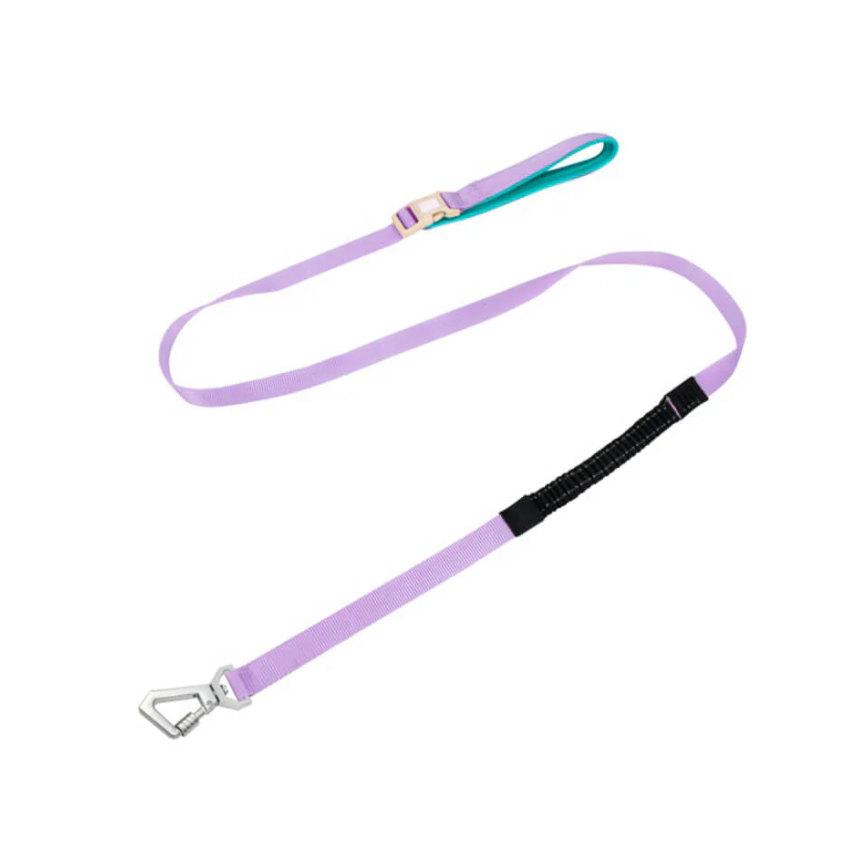 Anti-Pull Dog Harness with Adjustable Leash