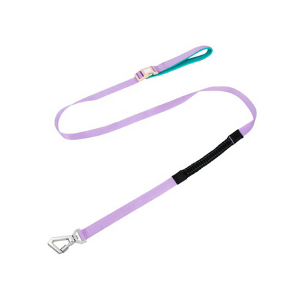 Anti-Pull Dog Harness with Adjustable Leash