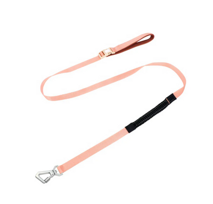 Anti-Pull Dog Harness with Adjustable Leash