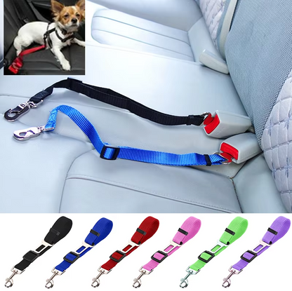 Safety Belt For Dogs In The Car - Adjustable Dog Lead With Carabiner In Black