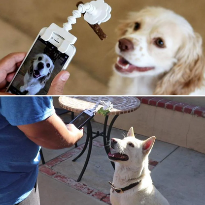 Pet Selfie Stick With Treat Holder