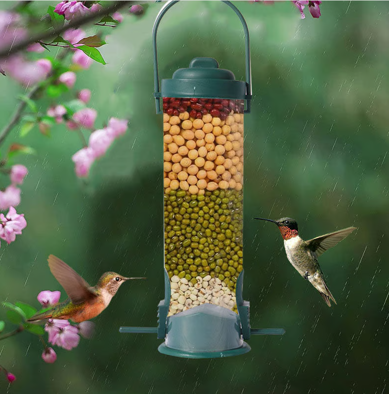 Squirrel - Proof Bird Feeder