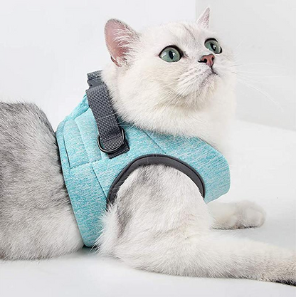 Cat Harness With Lead