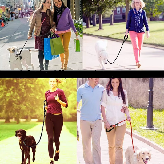 Adjustable Nylon Dog Lead With Padded Handle - Robust And Non - Slip Design