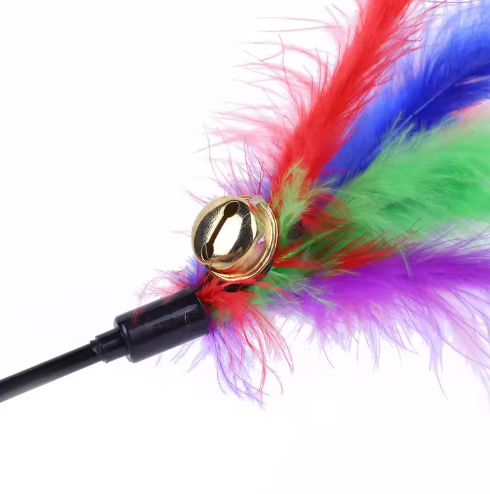 Cat Toy with Colorful Feathers (Set of 5)