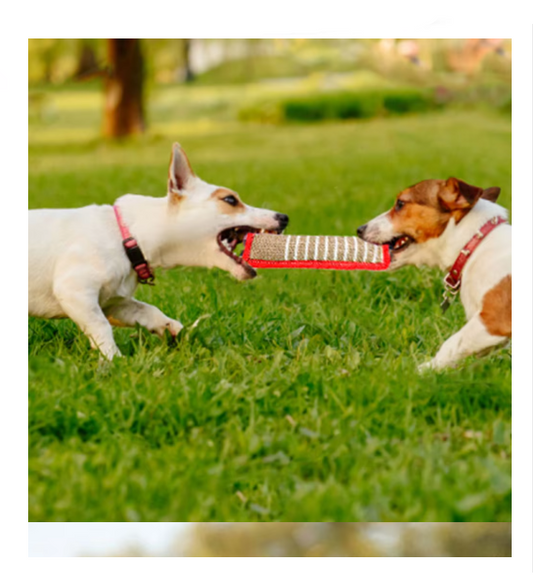 Bite Sausage For Dogs - Robust Jute Training Toy With Handles For Puppies Adult Dogs
