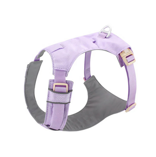 Anti-Pull Dog Harness with Adjustable Leash