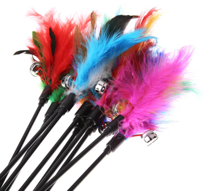 Cat Toy with Colorful Feathers (Set of 5)