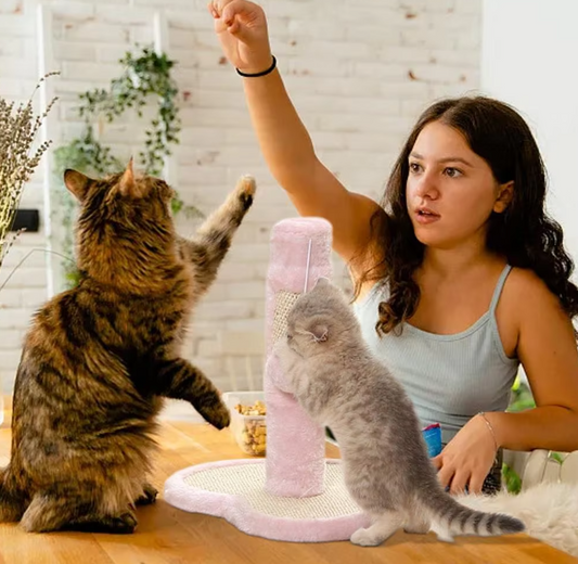 Cat Scratching Post In Heart Or Star Design With Toys