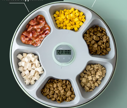 Automatic Pet Food Bowl - Digital Food Dispenser In Different Colours