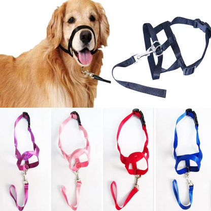 Adjustable Dog Harness With Lead - Comfortable Halter For Small And Medium-sized Dogs