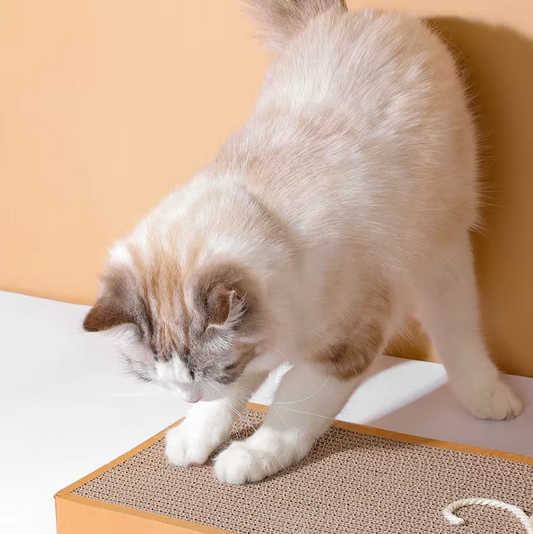 Cat Scratching Board - Robust Scratching Mat With Play Motif