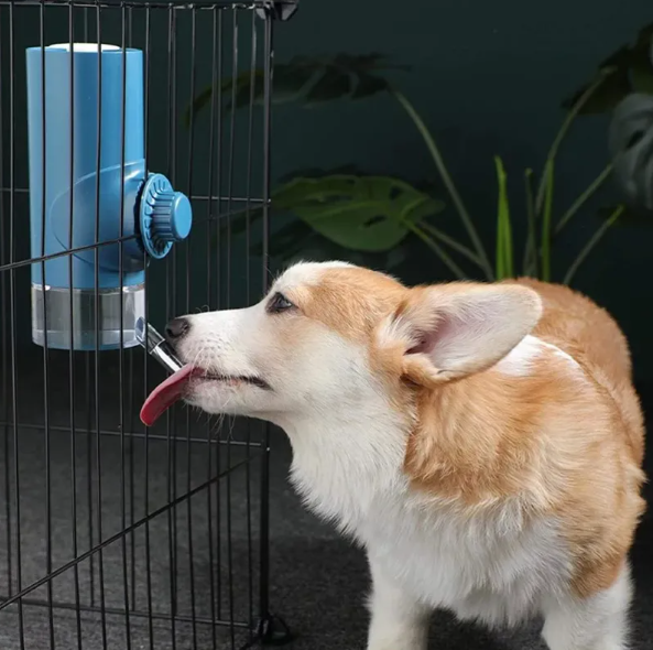 500ml Drinking Bottle for Pets - Automatic Water Dispenser