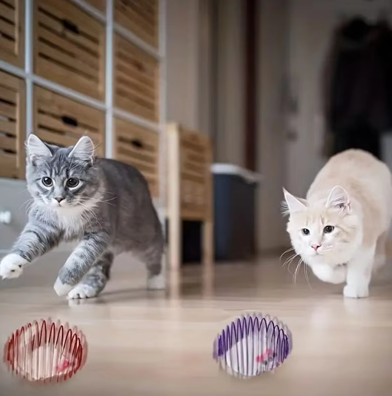 Mice In Spiral Cage - Prey Game For Cats