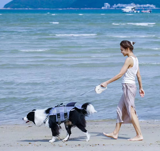 Automatic Dog Leash Retriever With Rotation Mechanism - 5m Flexi Leash For Dogs