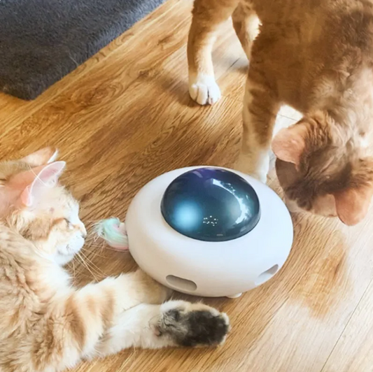 Interactive Cat Toy with Led Lights and Tail Feather