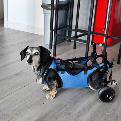 Dog Walking Aid For Cats And Dogs - Wheelchair For Mobility And Independence