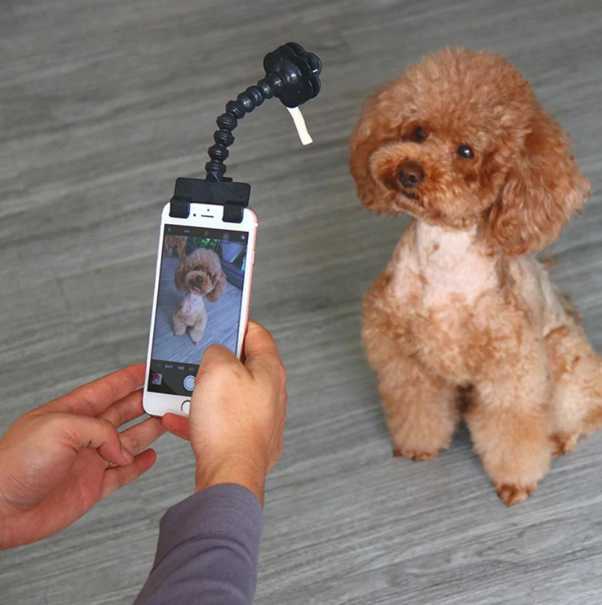 Pet Selfie Stick With Treat Holder
