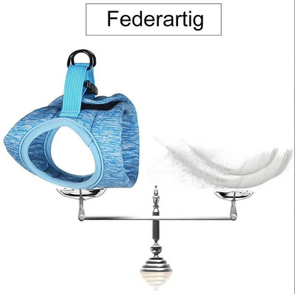 Cat Harness With Lead