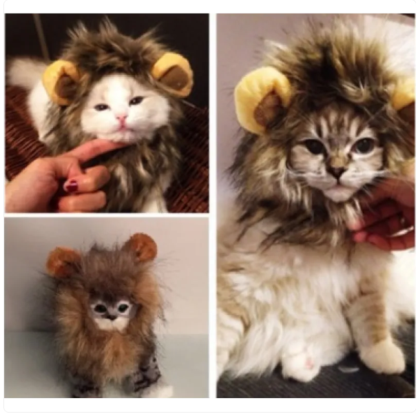 Lion 's Mane For Cats With Ears For Dressing Up And Funny Photos