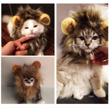 Lion 's Mane For Cats With Ears For Dressing Up And Funny Photos