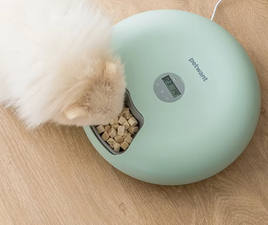 Automatic Pet Food Bowl - Digital Food Dispenser In Different Colours
