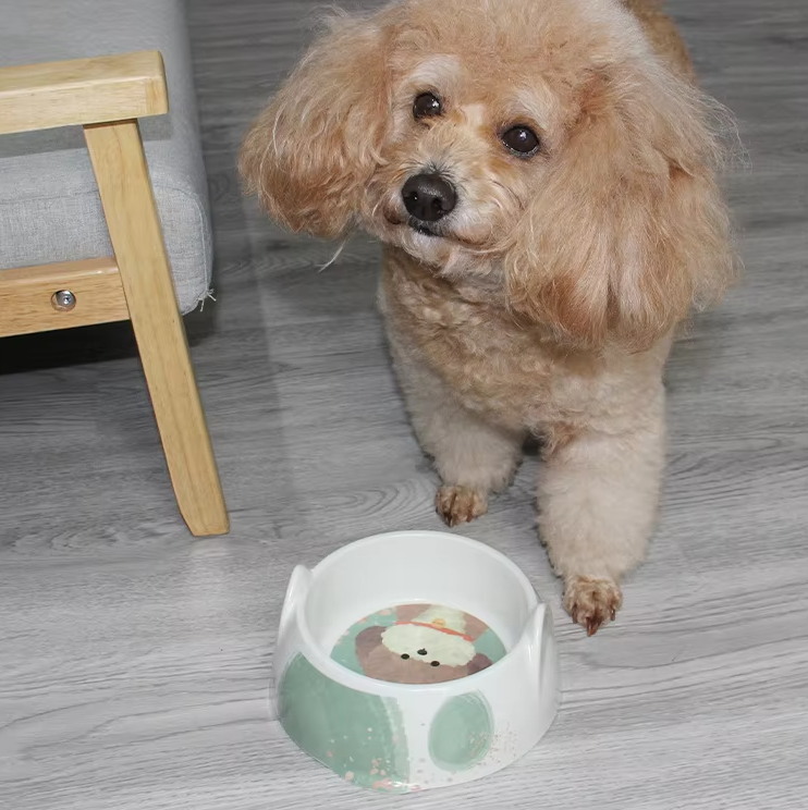Ceramic Dog Bowl With Dog Picture - Food And Water Bowl For Dogs