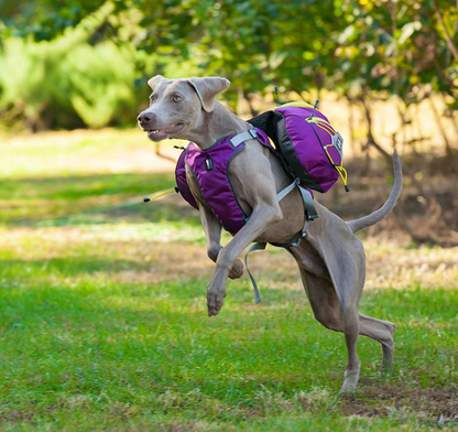 Dog Hiking Rucksack With Waterproof Pockets - Portable Dog Carrier For Outdoor Activities