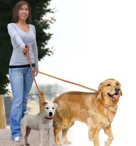 Dog Lead Made Of Nylon - Robust Double Lead For Dogs In A Set With Handle