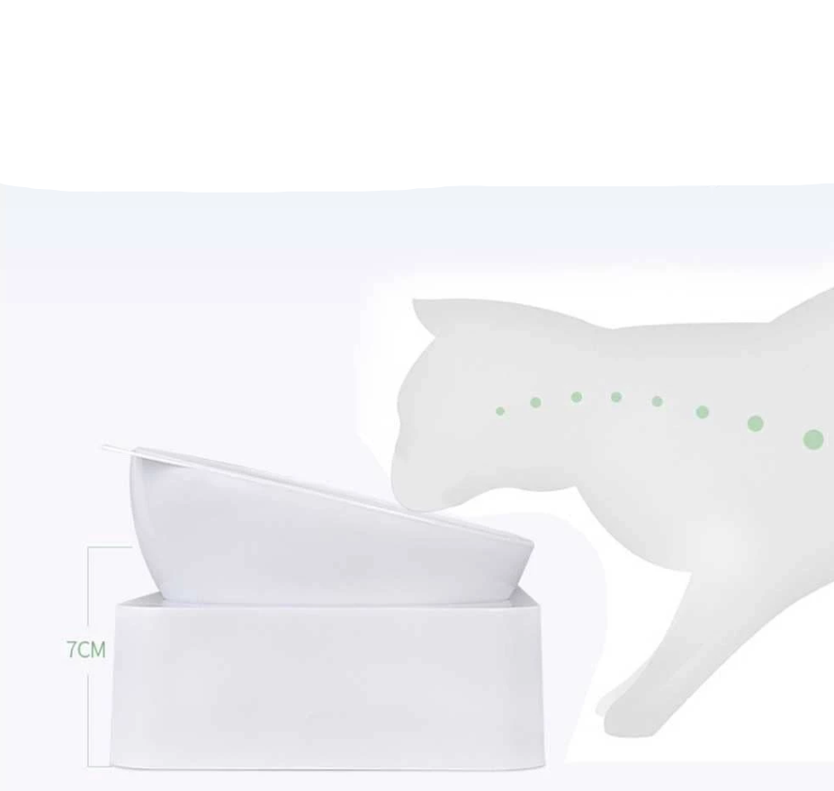 Cat Water And Food Dispenser Set