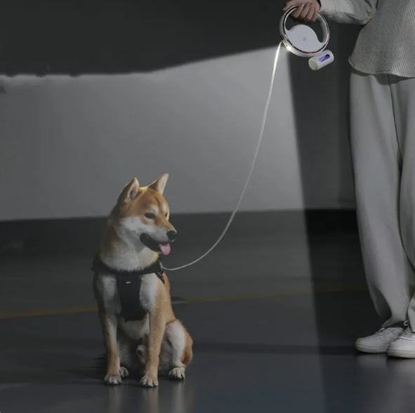 Dog Leash With Led Light And Retractable Mechanism For Safe Walking